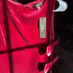 Lulu's Rich Burgundy Velvet Dress